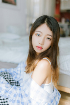 美丽的小蜜蜂美版满天星